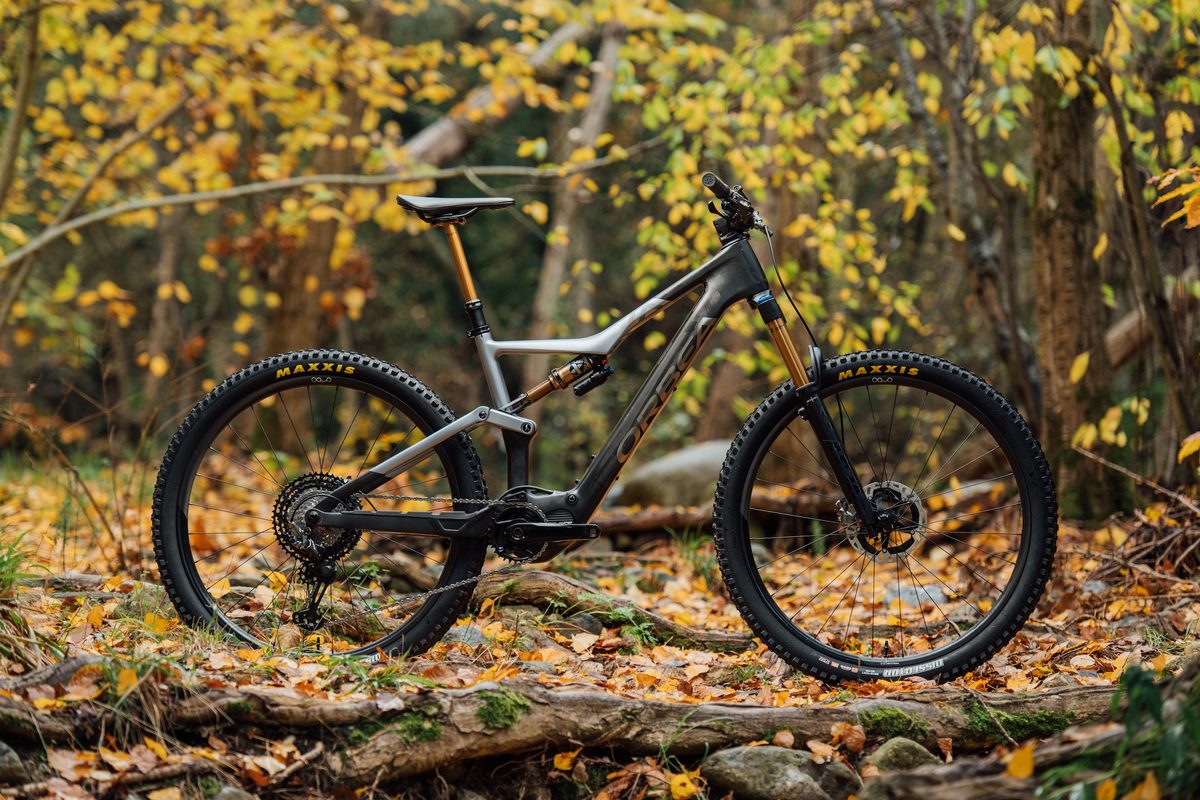 Orbea Gain D40 — Electric Road (Carbon Raw)