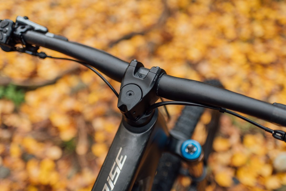 Orbea Gain D40 — Electric Road (Carbon Raw)