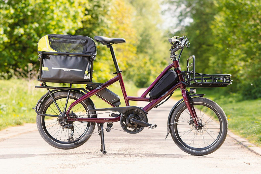 Tern Vektron S10 — Folding E-Bike (Bonsai Green)