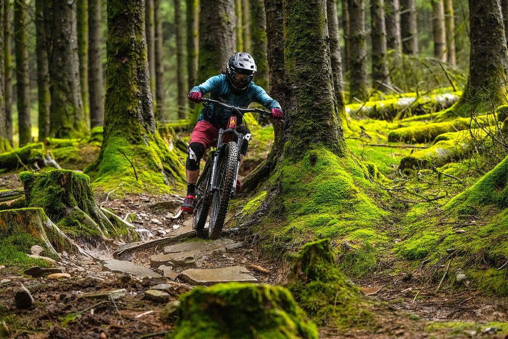 Santa Cruz Tallboy 4 C R — Carbon Trail MTB (Gloss Carbon / Yellow)
