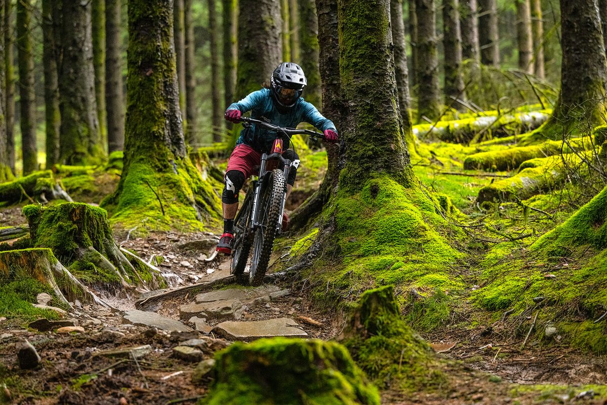 Santa Cruz Tallboy 4 C R — Carbon Trail MTB (Gloss Carbon / Yellow)