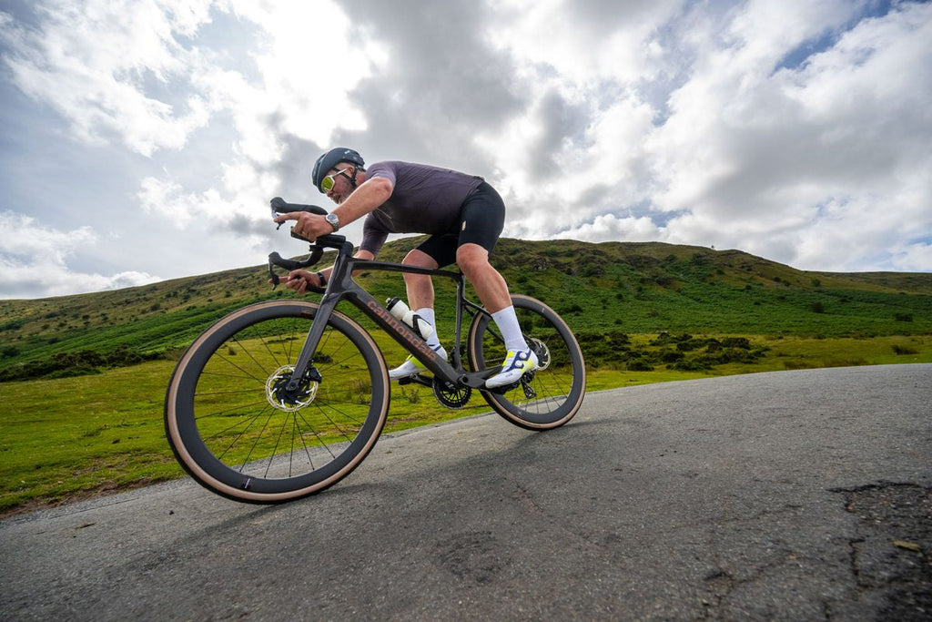 Cannondale Synapse Carbon 2 LE — Carbon Endurance Road (Quicksand)