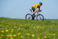 Canyon Endurace CF SLX 8 Di2 Aero — Carbon Endurance Road (Carbon Raw)