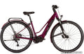 Ridgeback Advance 2W — Step-Through Hybrid E-Bike