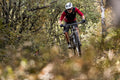 Orbea Oiz M30 — Carbon XC Full-Sus MTB (Carbon Raw / Halo Green)