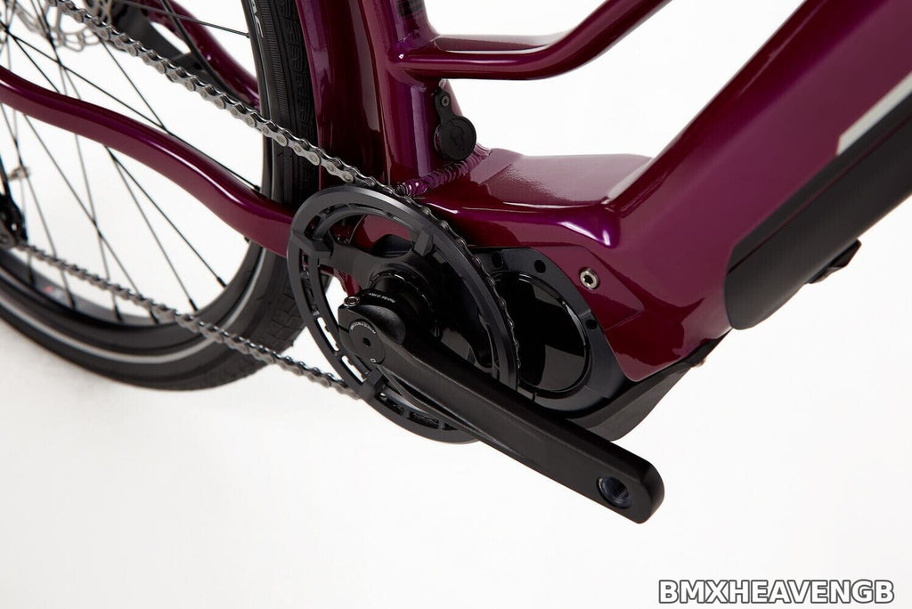 Ridgeback Advance 2W — Step-Through Hybrid E-Bike